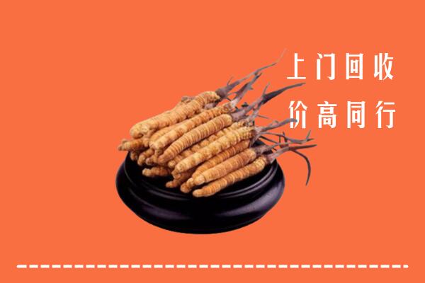 高价求购：盐池县回收散虫草