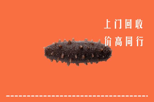 高价求购：盐池县回收海参