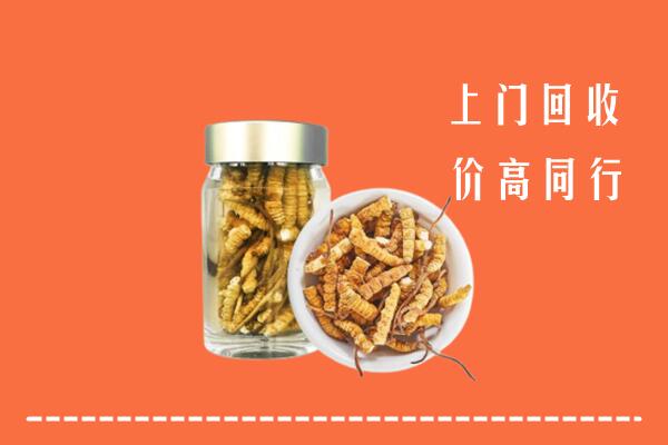 盐池县回收冬虫夏草